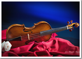 categoria_moda_pubblicit&agrave;